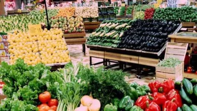 صورة أسعار الخضراوات اليوم الخميس 24-8-20023 في الأسواق.. «البطاطس بـ8 جنيهات»