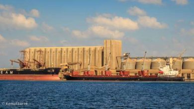 صورة ميناء دمياط يستقبل 26 ألف طن قمح على متن سفينة قادمة من روسيا