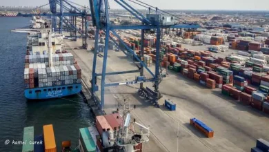 صورة ميناء دمياط يكشف تفاصيل حجم الصادرات والواردات.. ورصيد القمح يصل لـ1172 طنا
