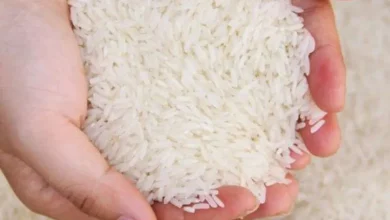 صورة انخفاض أسعار الغذاء لأدنى مستوى عالميا.. والأرز يرتفع لرقم قياسي خلال 15 عاما