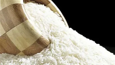 صورة سعر طن الأرز الشعير اليوم.. يشهد استقرارا كبيرا