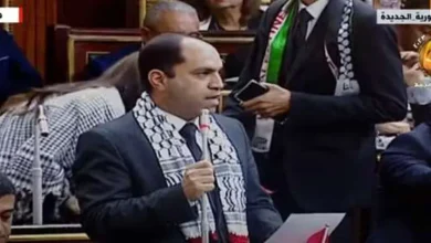 صورة «التنسيقية»: الأمن القومي المصري خط أحمر.. ونؤيد موقف الرئيس بشأن فلسطين